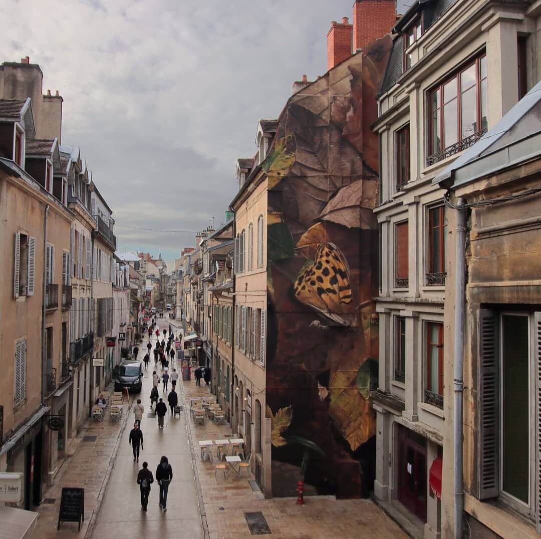 Street artist paints imposing butterfly murals on buildings around the ...